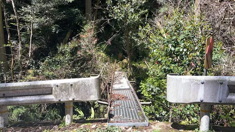 森の奥への誘い、小さな橋
