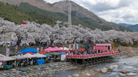 桜舞う川辺の賑わい