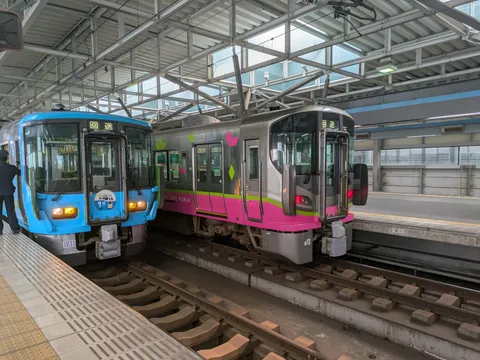 並んだ車両、異なる色彩