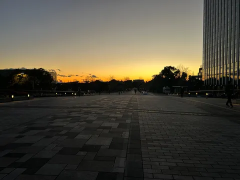 夕暮れの横断路と光の帯