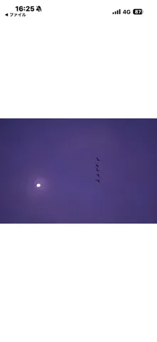 月夜に浮かぶ鳥の群れ