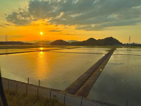 水面に映る黄金の夕景