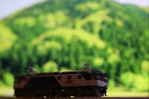 緑の静寂を走る列車