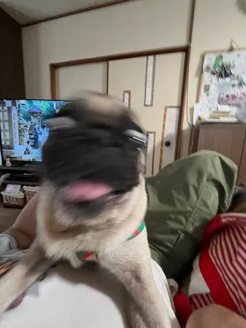 ブレブレだけど愛おしい瞬間