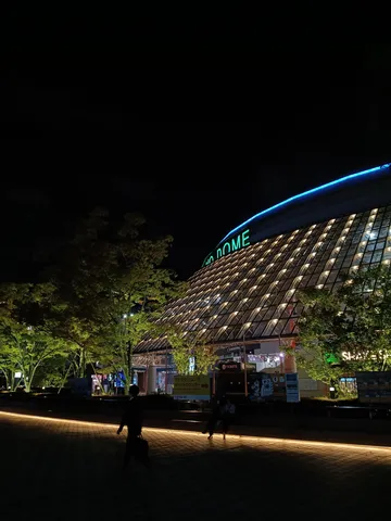 ドーム夜景の光の帯