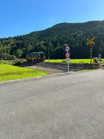 福井旅情