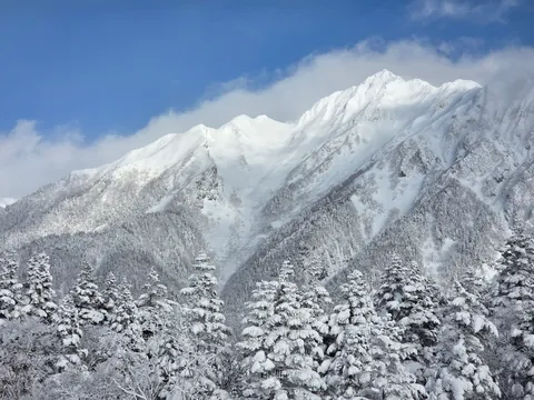 白銀の山と森の静寂