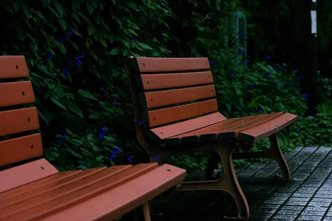 雨上がりの公園ベンチ