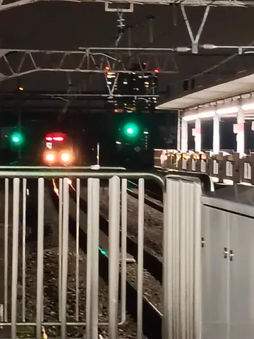 夜の駅、緑の信号