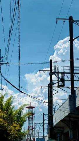 空と電線の夏の交差