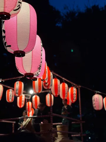 夜空に映える提灯の連なり