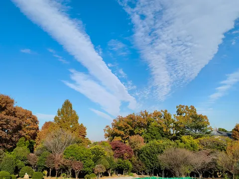 秋の空と色づく樹々の静寂