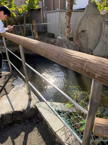 風を渡る長い木の橋