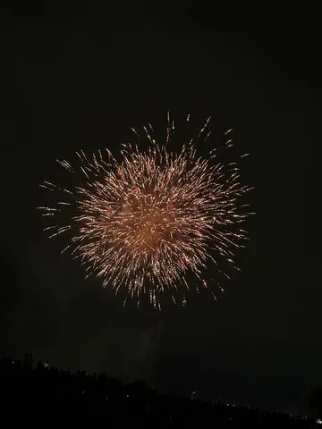 夜空に咲く、光の花束