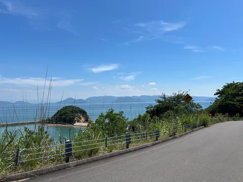 海風と緑のカーブ