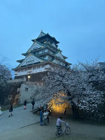 古城と桜、 twilight walk