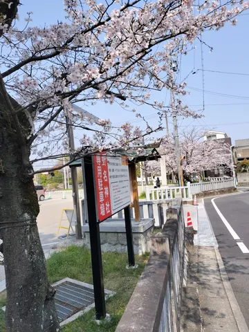 春色に染まる道標、桜並木