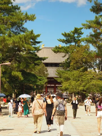 古都を彩る、夏の日の散策