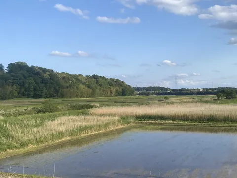 水面の反射が美しい田園風景
