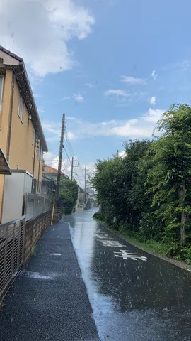 雨粒が映す、日常の小道