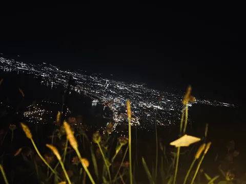 夜景と草原の閃き