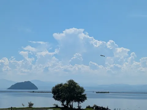 雲の舞台、飛び入り参加の鳥