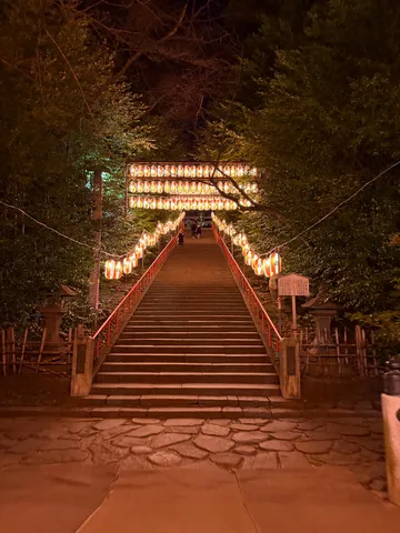 幻想的な光に導かれる夜の参道
