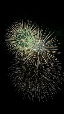夜空を彩る光の芸術