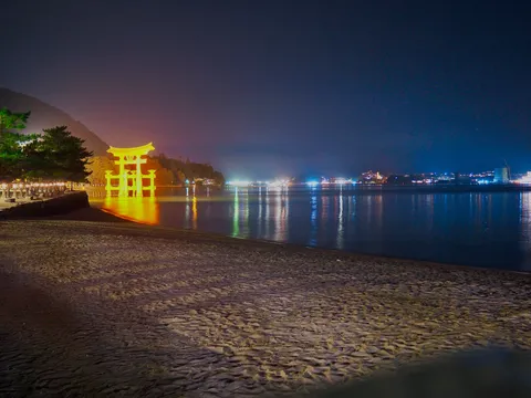 夜の灯りと鳥居が映す海