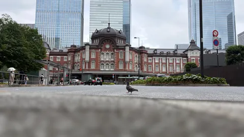 赤煉瓦と高層の間で