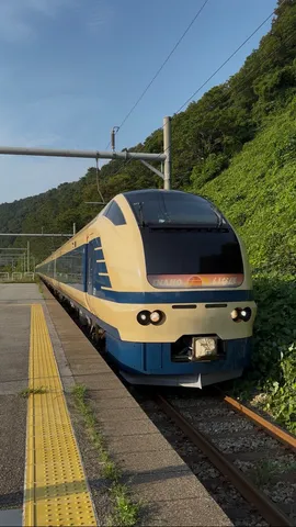 夏の風物詩、ローカル線