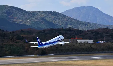 空へ飛び立つANA機、山並みを背景に