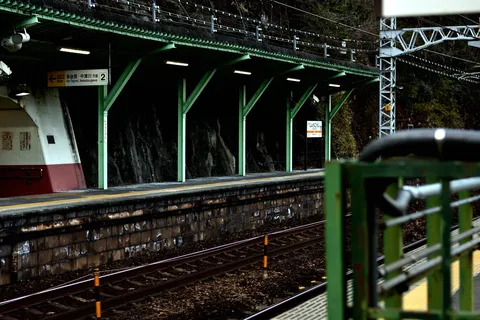 山間の駅に佇む緑のホーム