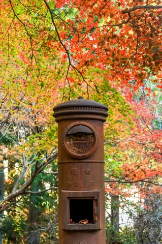 ポストと紅葉のノスタルジックな出会い