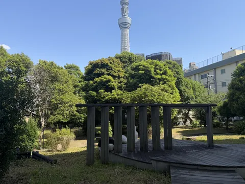 緑の先にそびえるスカイツリー