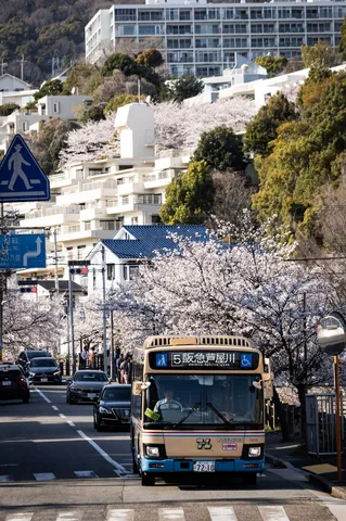 春を行く路線バス