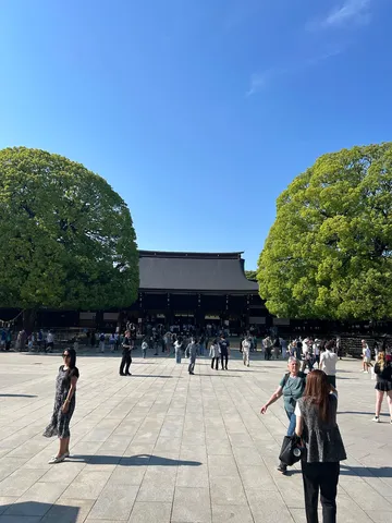 杜と青空の広場
