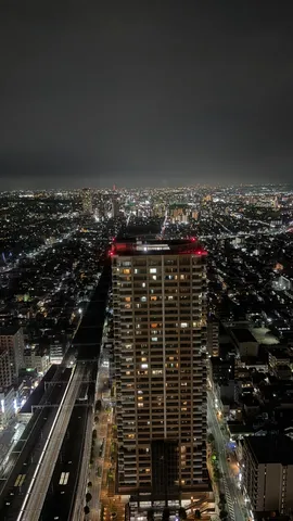 都市を見下ろす夜の巨人