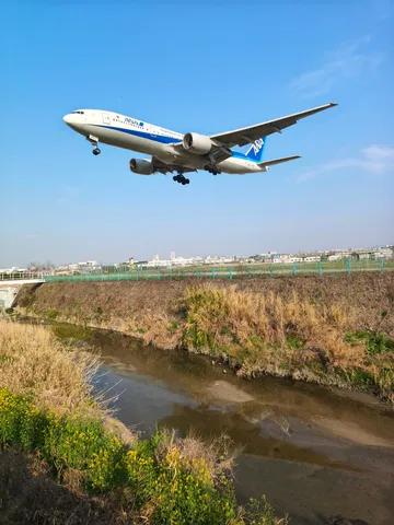 空を駆ける翼、緑の川辺