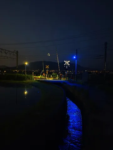 水面に映る青い光の夜道