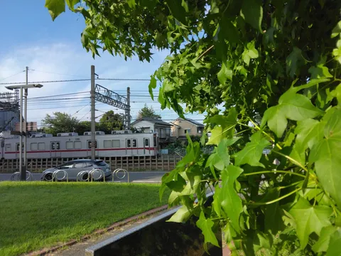 木漏れ日と日常の風景