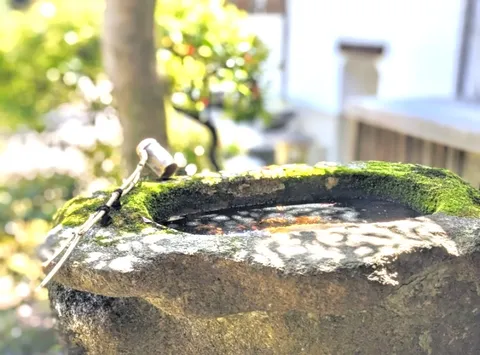 苔むす水盤の静寂