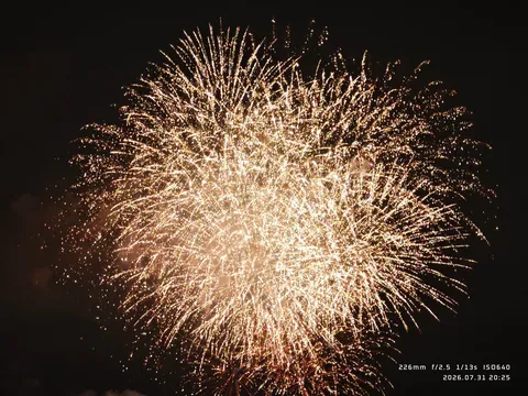 夜空に咲いた金色の花火
