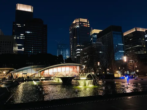 光を映す夜の水庭