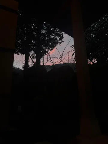 夕暮れの木々と縁側