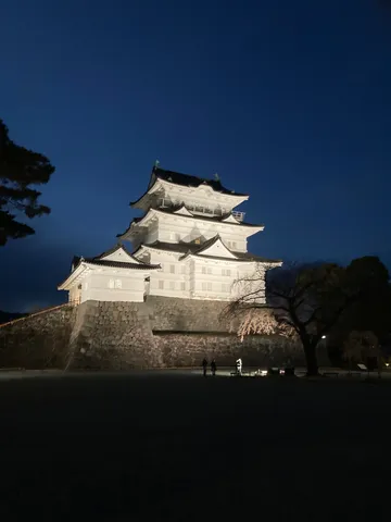 闇夜に浮かぶ白鷺城