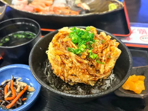 玉ねぎの山が映える丼
