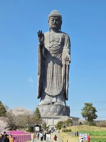 悠久の時を刻む大仏様