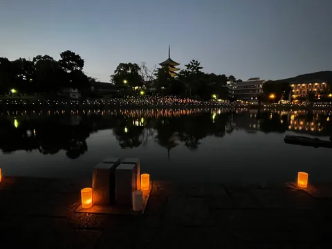 静寂を照らす灯火の道