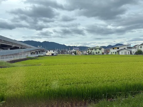 風景の線と緑の呼吸